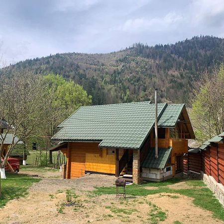Еко Будинок В Горах Verkhnyaya Bystra Extérieur photo