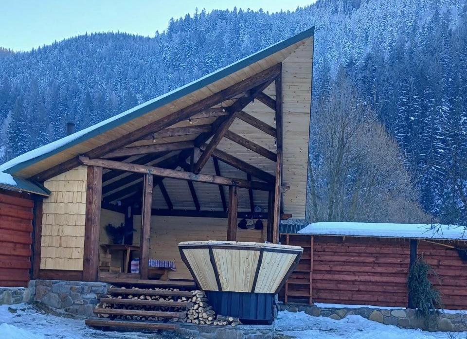 Еко Будинок В Горах Verkhnyaya Bystra Extérieur photo